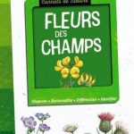 FLEURS-DES-CHAMPS