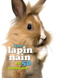 LE-LAPIN-NAIN