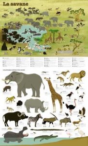 LES-ANIMAUX-DE-LA-SAVANE-POSTER