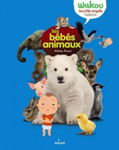 LES-BEBES-ANIMAUX
