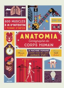 anatomia