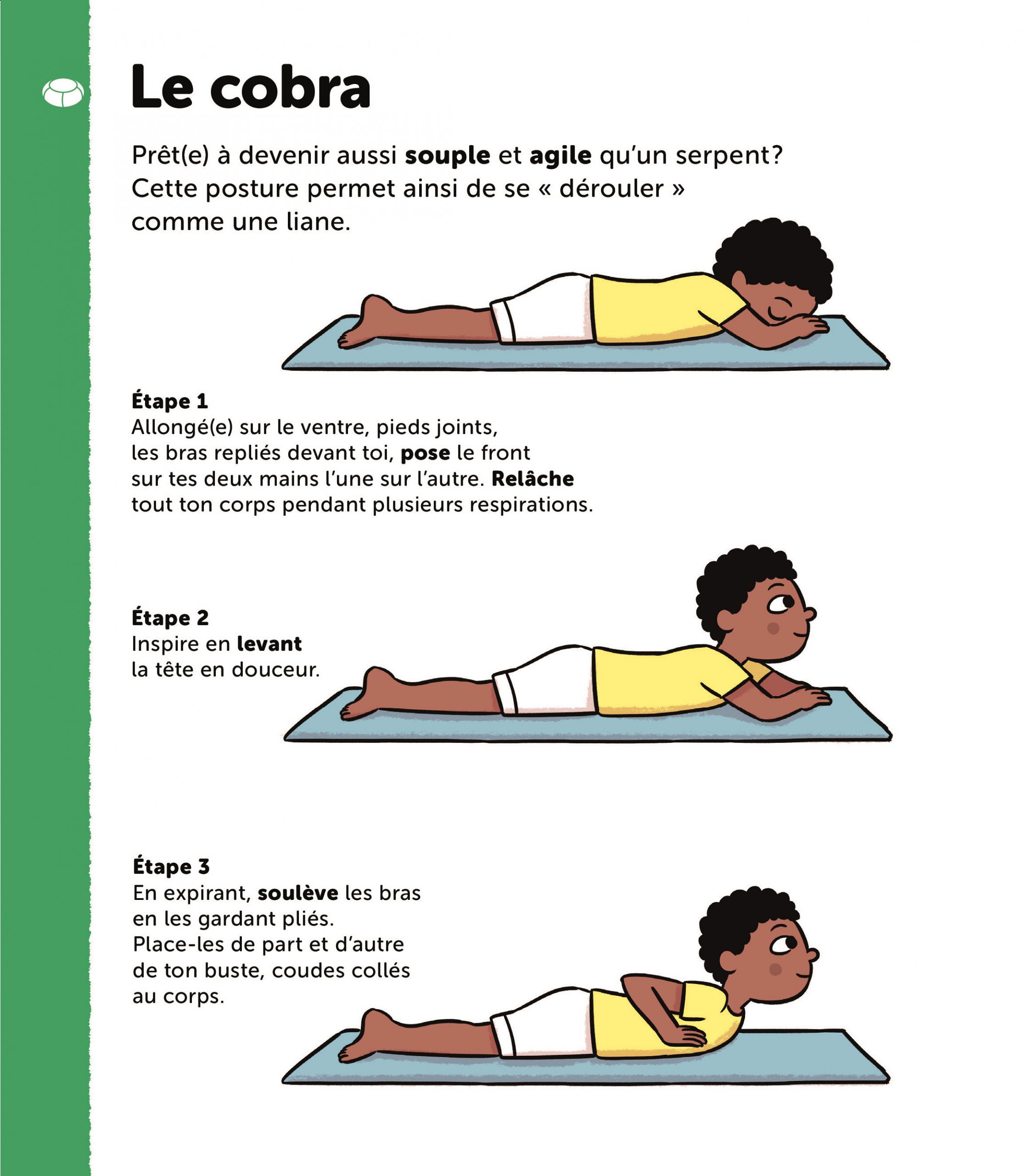 Posture du cobra