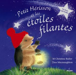 petit-herisson-et-les-etoiles-filantes-tout-carton